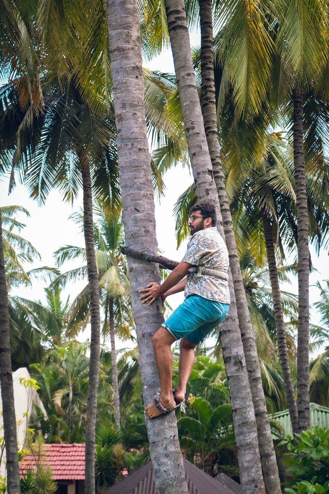 mettupalayam