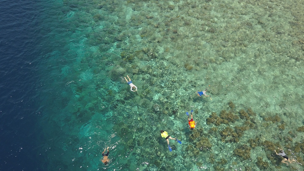 murex manado dive resort