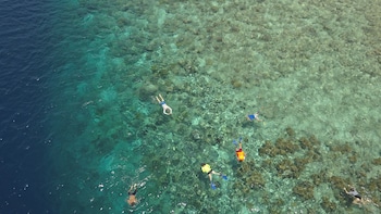 murex manado dive resort