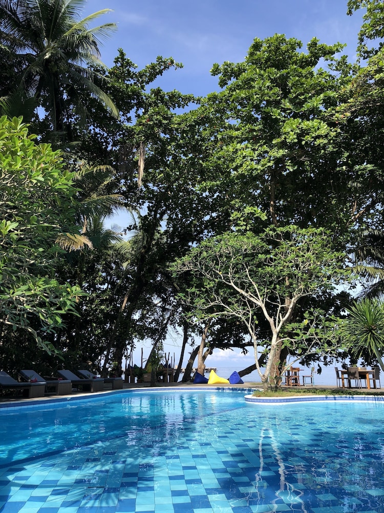 murex manado dive resort