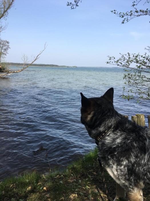 plau am see