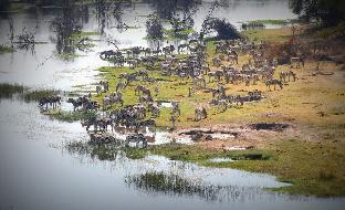 Meno A Kwena,Morematao>>Makgadikgadi Pans National Park,3 star