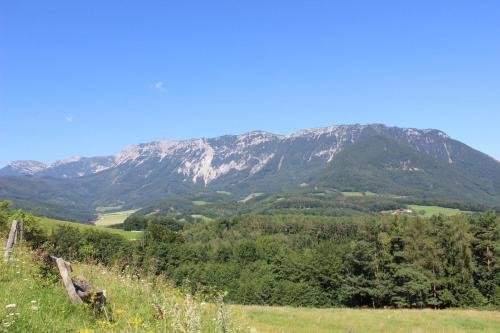 reichenau