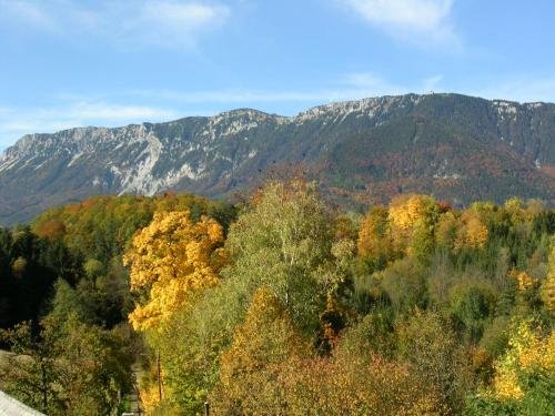 Flackl - Wirt,Neunkirchen>>Lower Austria,3 star