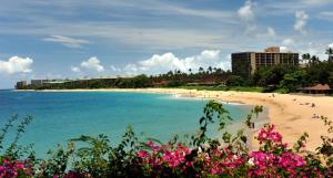 royal lahaina resort and bungalows