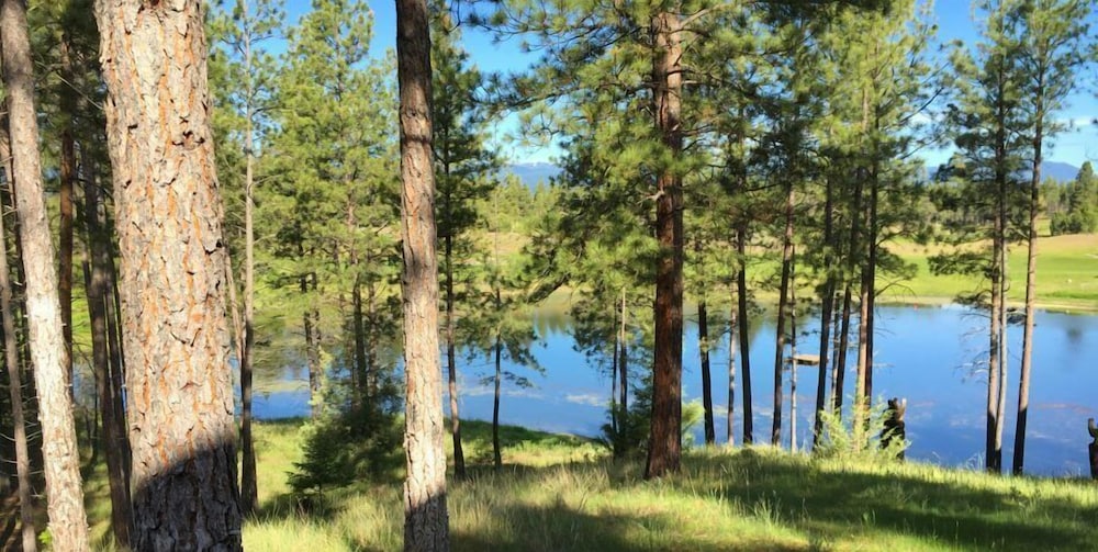 wilderness club