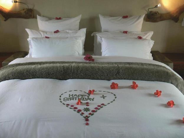 abloom bush lodge and spa retreat