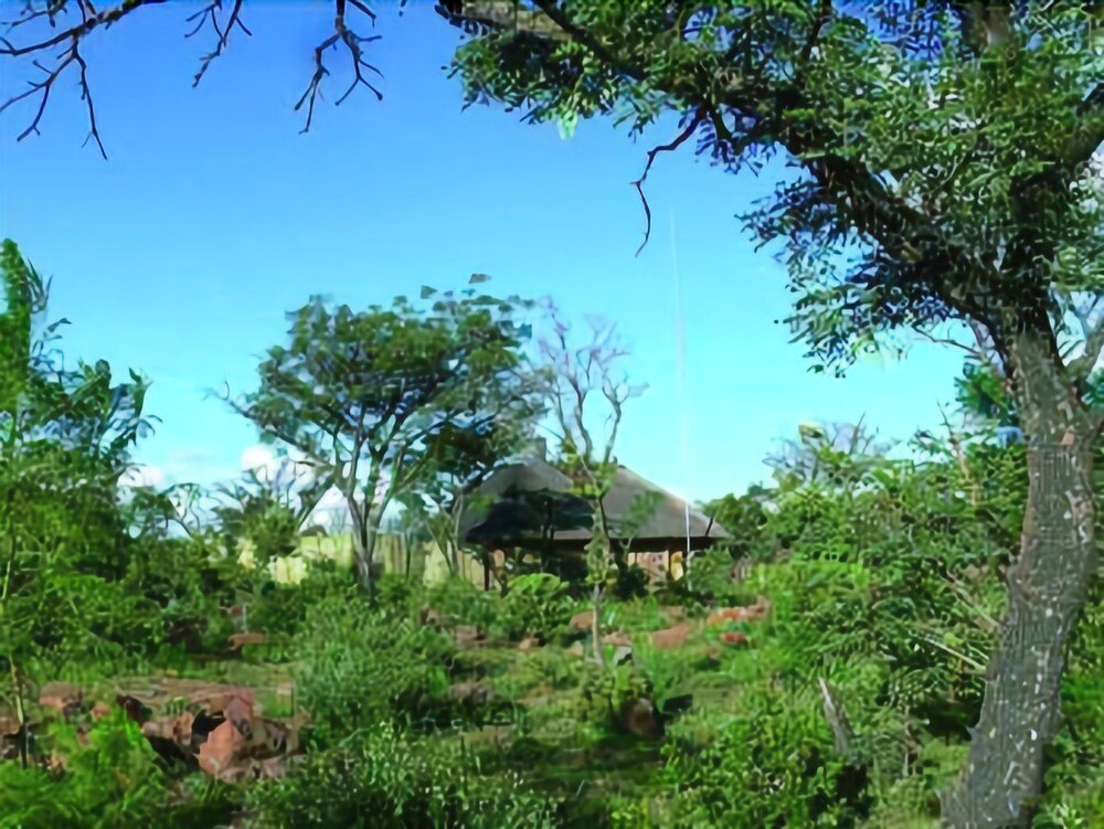 abloom bush lodge and spa retreat