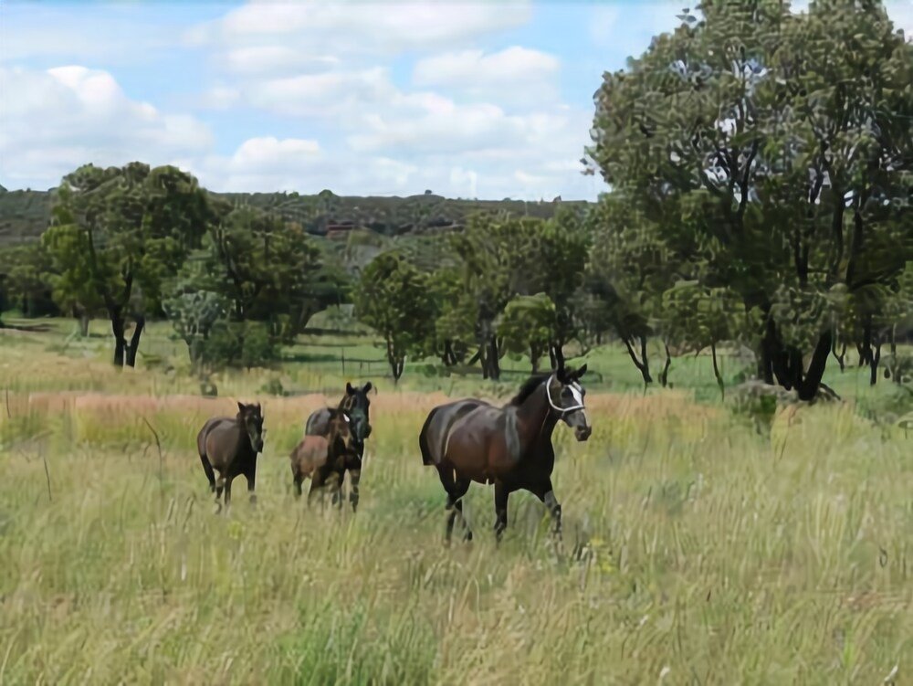 abloom bush lodge and spa retreat