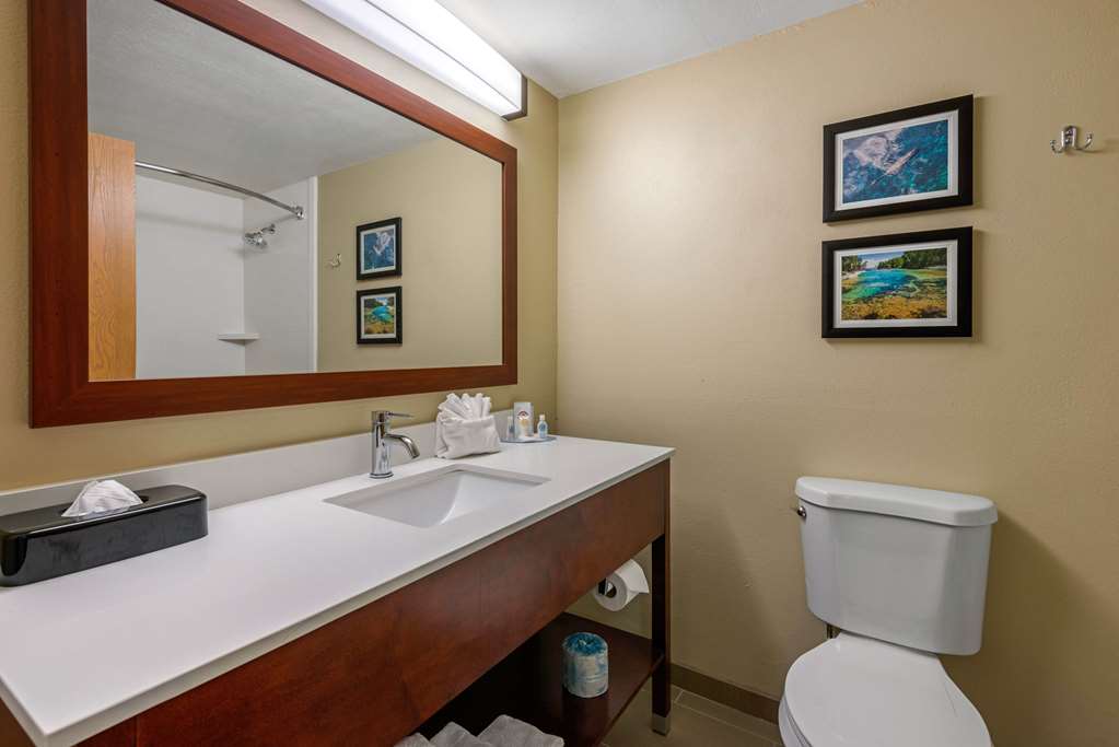 comfort inn ocala silver springs
