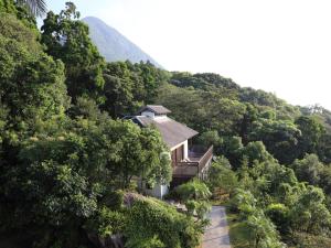 yakushima