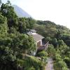yakushima