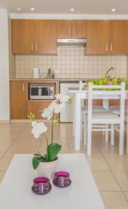 alva hotel apartments