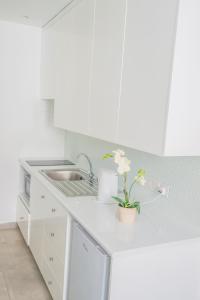 alva hotel apartments