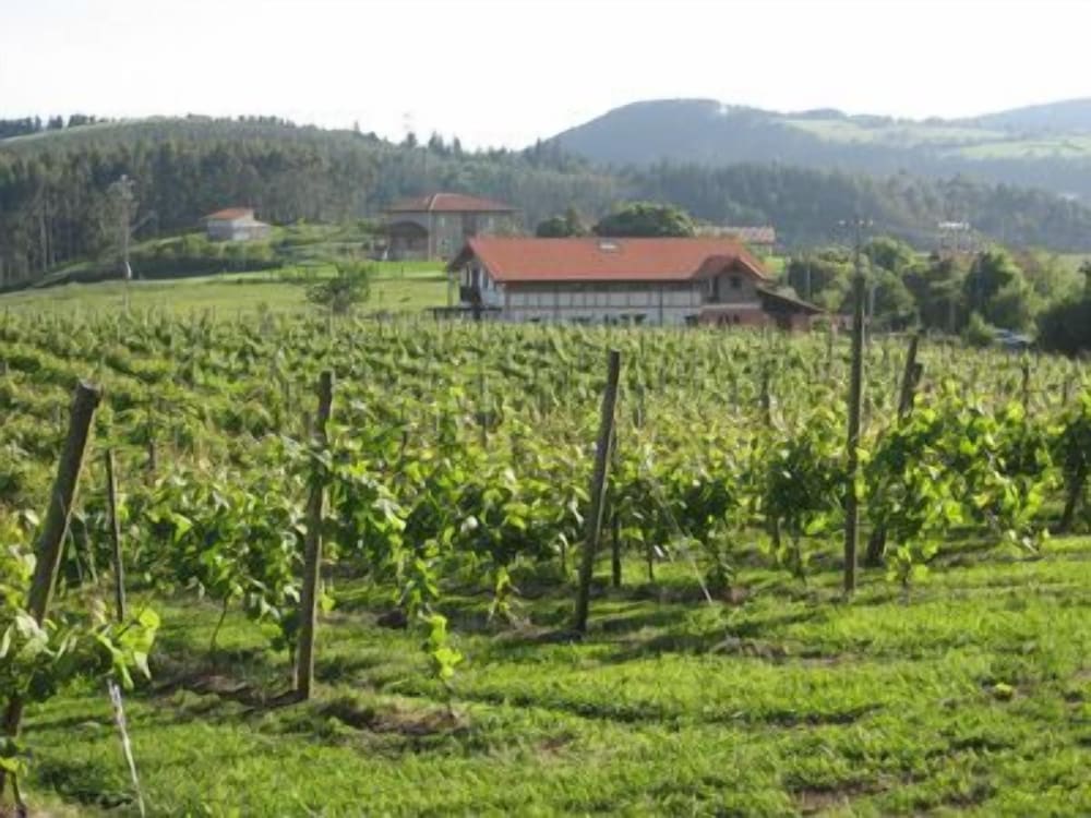 ibarranguelua