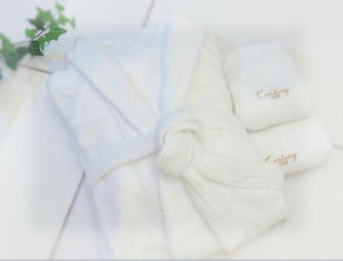 odakyu hotel century sagami ono