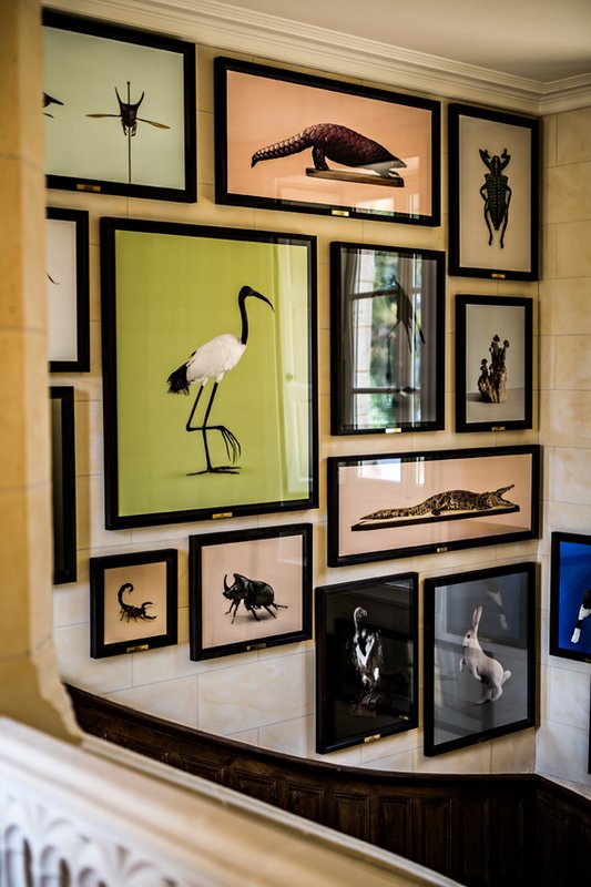 domaine des etangs auberge resorts collection