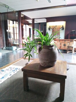 Jing's Residence,Pingyao>>Jinzhong,4 star