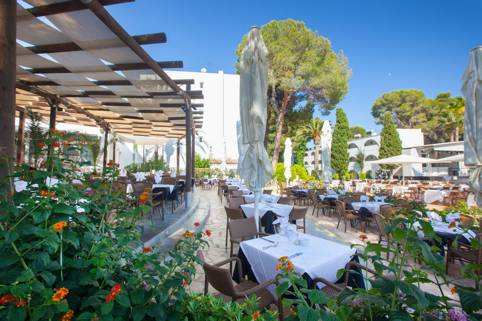 tui magic life cala pada