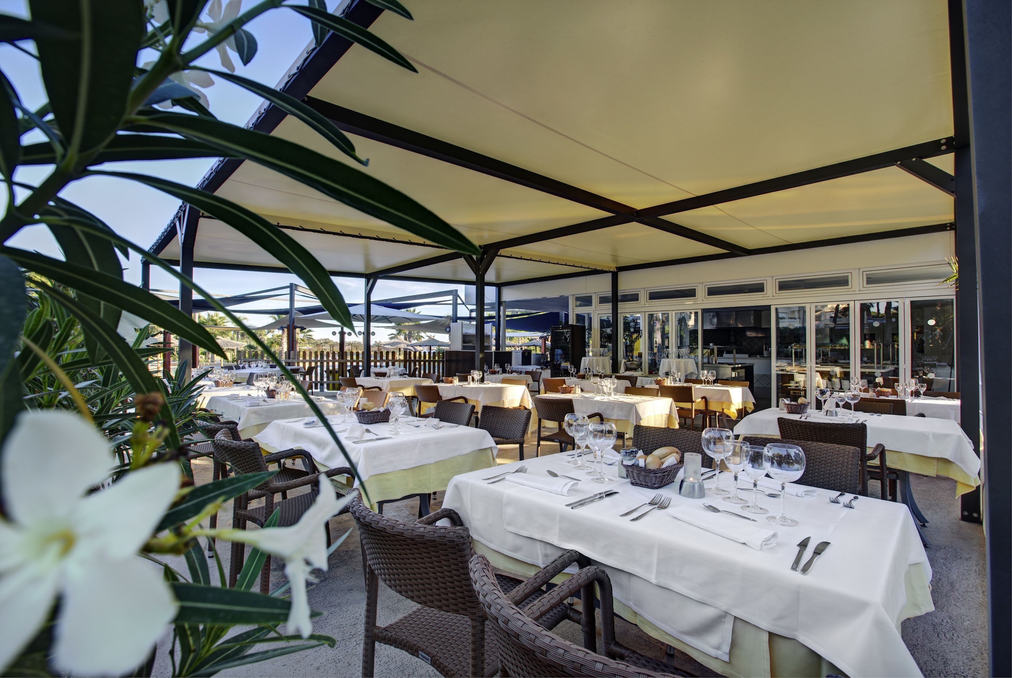 tui magic life cala pada