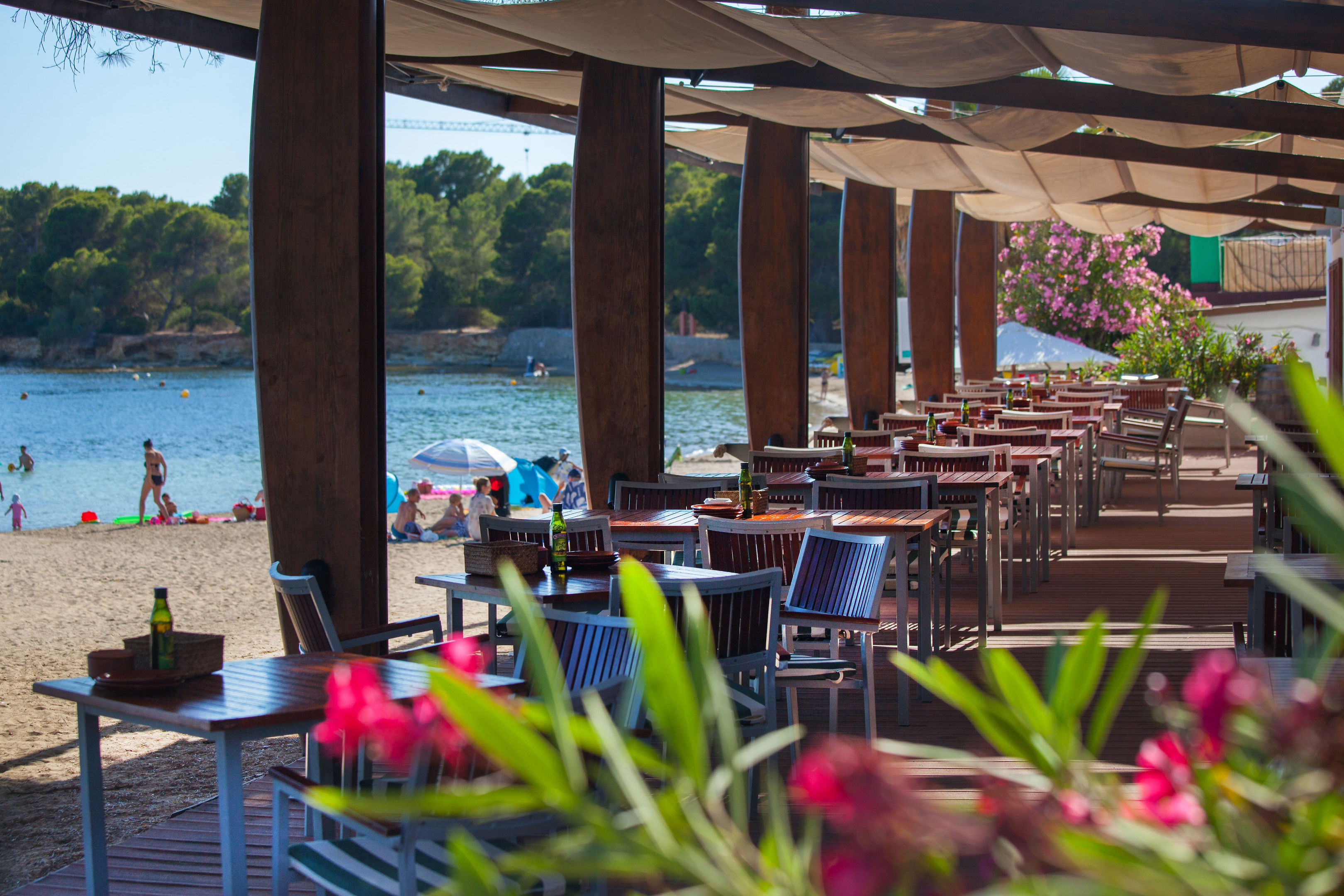 tui magic life cala pada