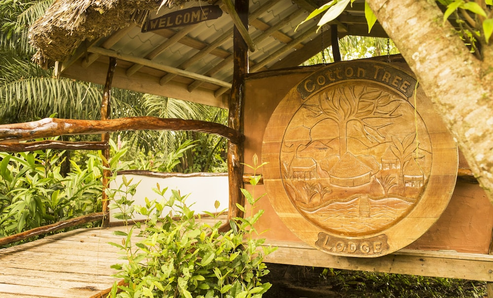 cotton tree lodge
