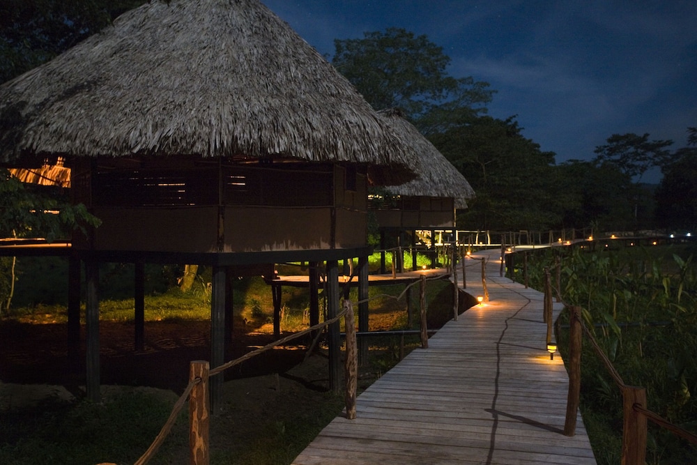 cotton tree lodge