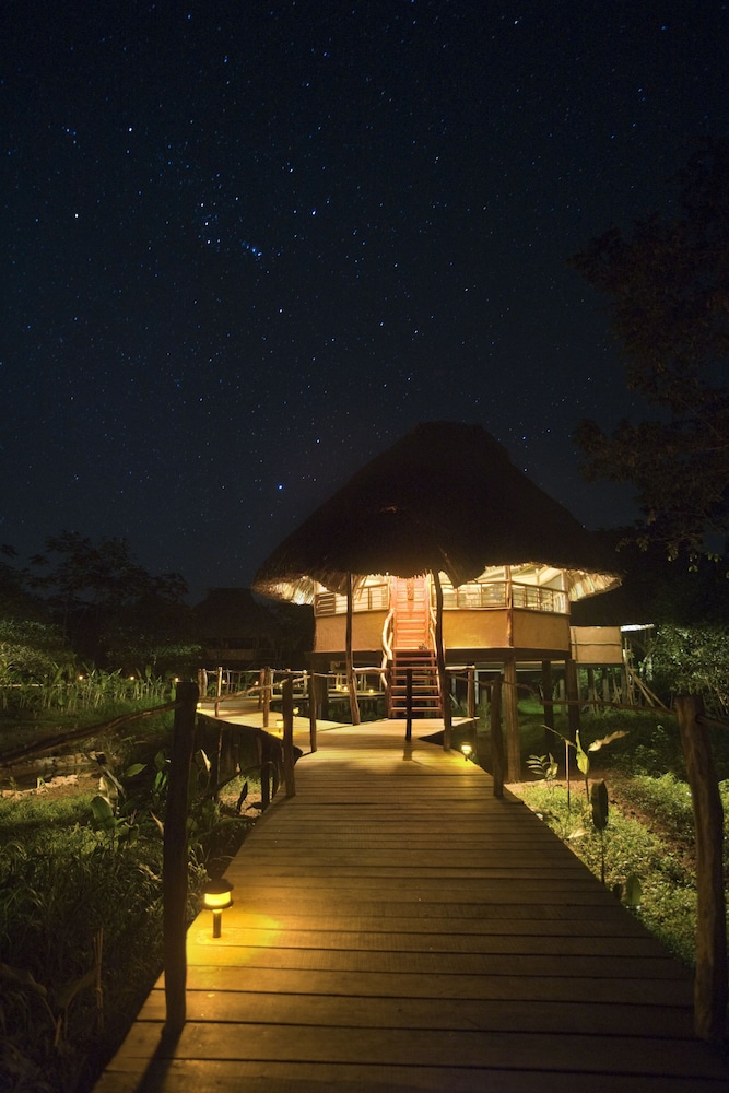 cotton tree lodge