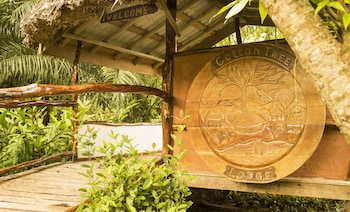 cotton tree lodge