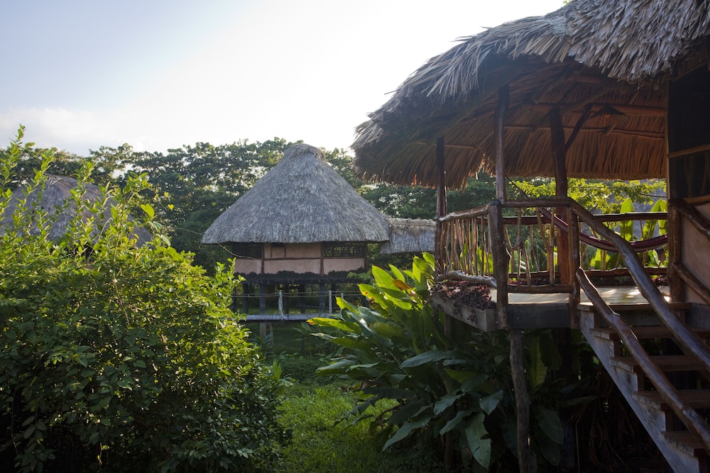 cotton tree lodge