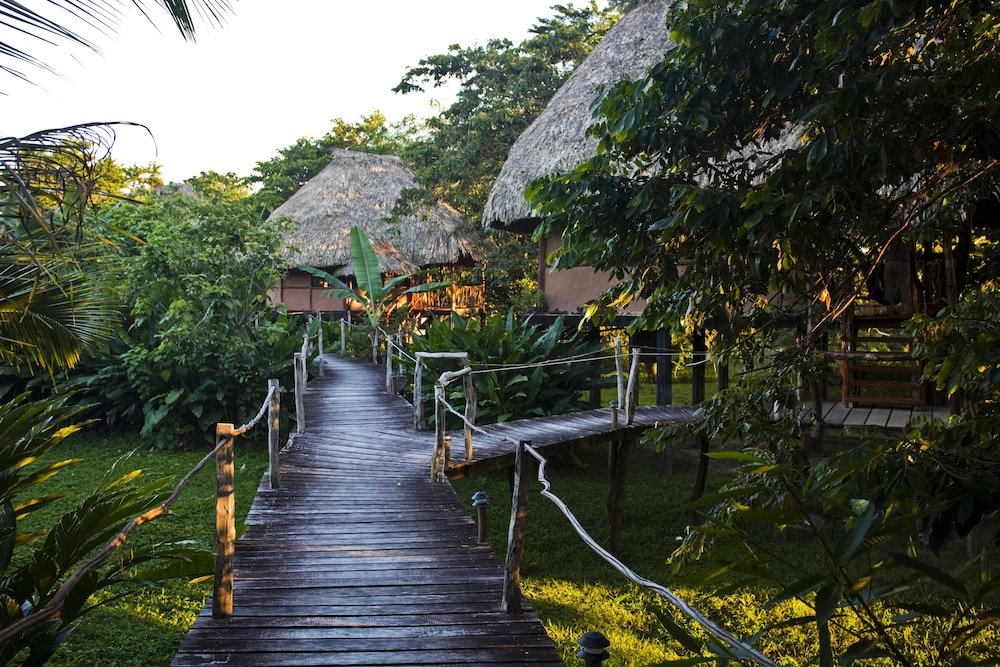 cotton tree lodge