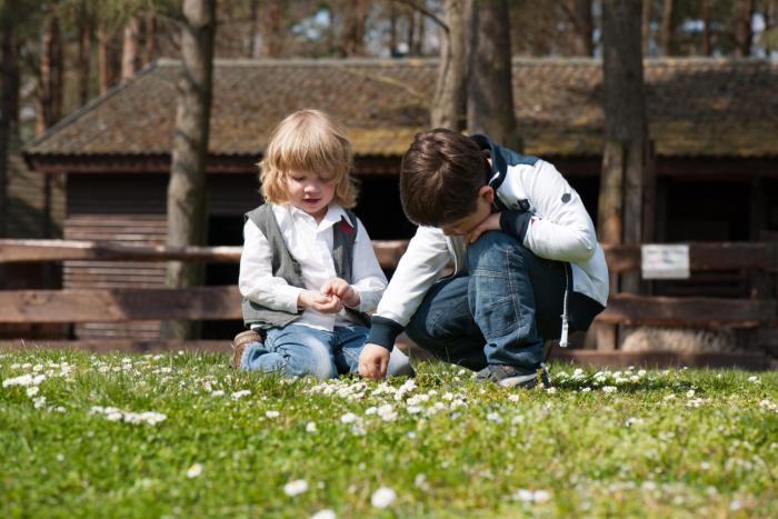 van der valk naturresort drewitz