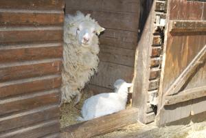 van der valk naturresort drewitz