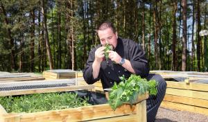 van der valk naturresort drewitz