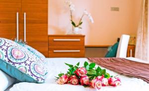 Villa Aina Boutique Hotel,Rimske Toplice>>Lasko,3 star