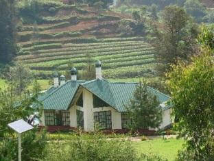 devikolam