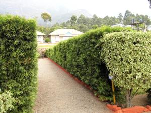 holiday heaven munnar