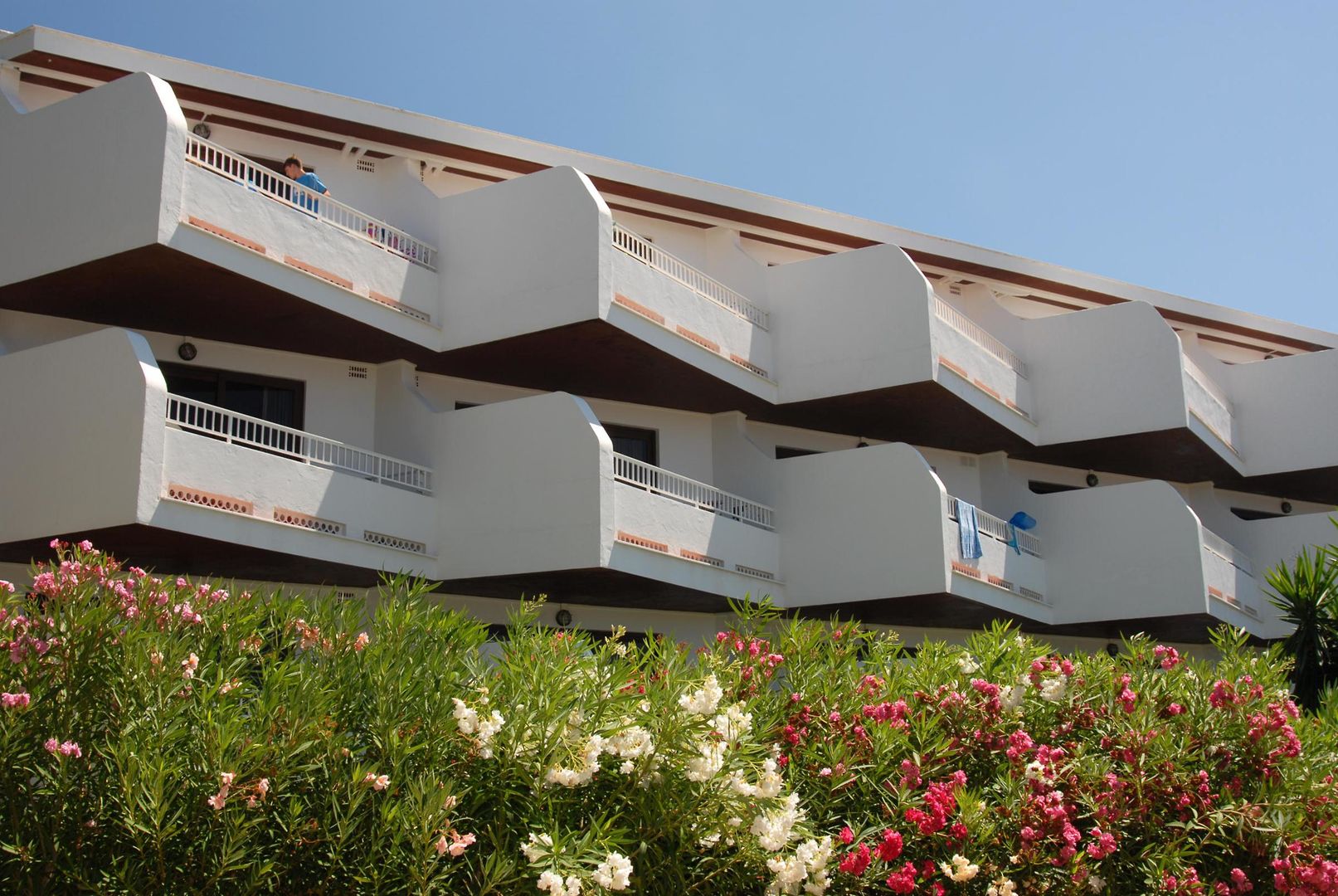 apartamentos del rey