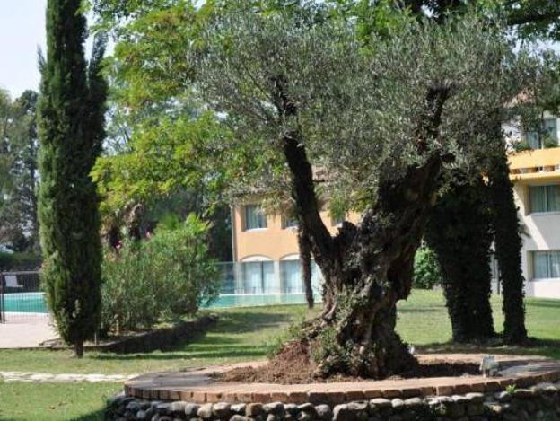 hotel restaurant les oliviers