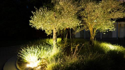 hotel restaurant les oliviers