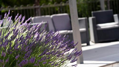 hotel restaurant les oliviers