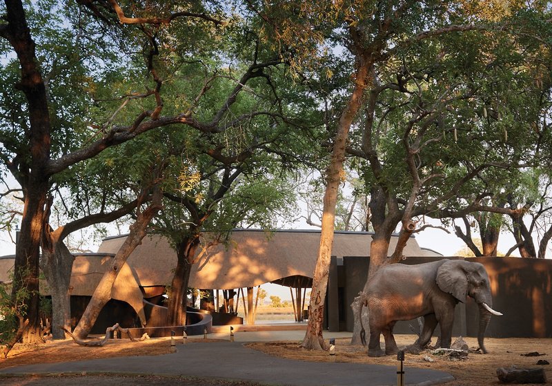 belmond safaris