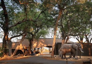 belmond safaris
