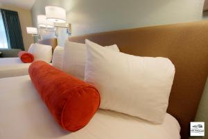 super 8 by wyndham florence or