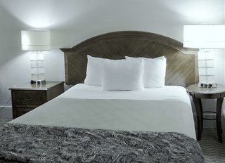 rodeway inn and suites san francisco