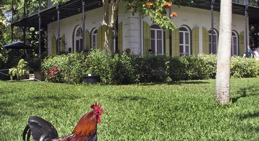 caribbean house