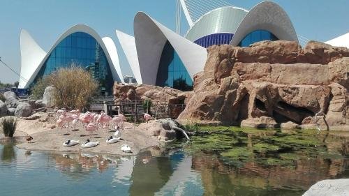 loncle pere habitacions