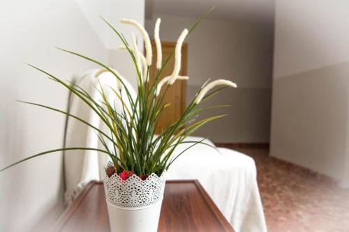 loncle pere habitacions