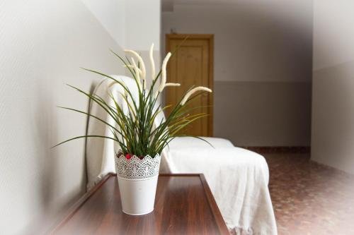 loncle pere habitacions