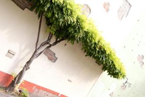 A Casa Dei Gonzaga,Manerba Del Garda>>Borgo Virgilio,3 star